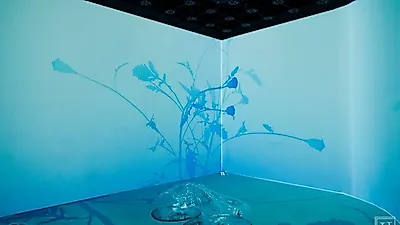 Interactive media art exhibition Shared Depth to explore anxiety at Studio White