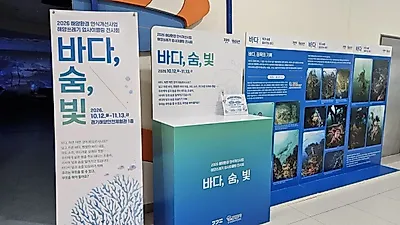 京畿道、海洋ごみアップサイクル展《海、息、光》を開催