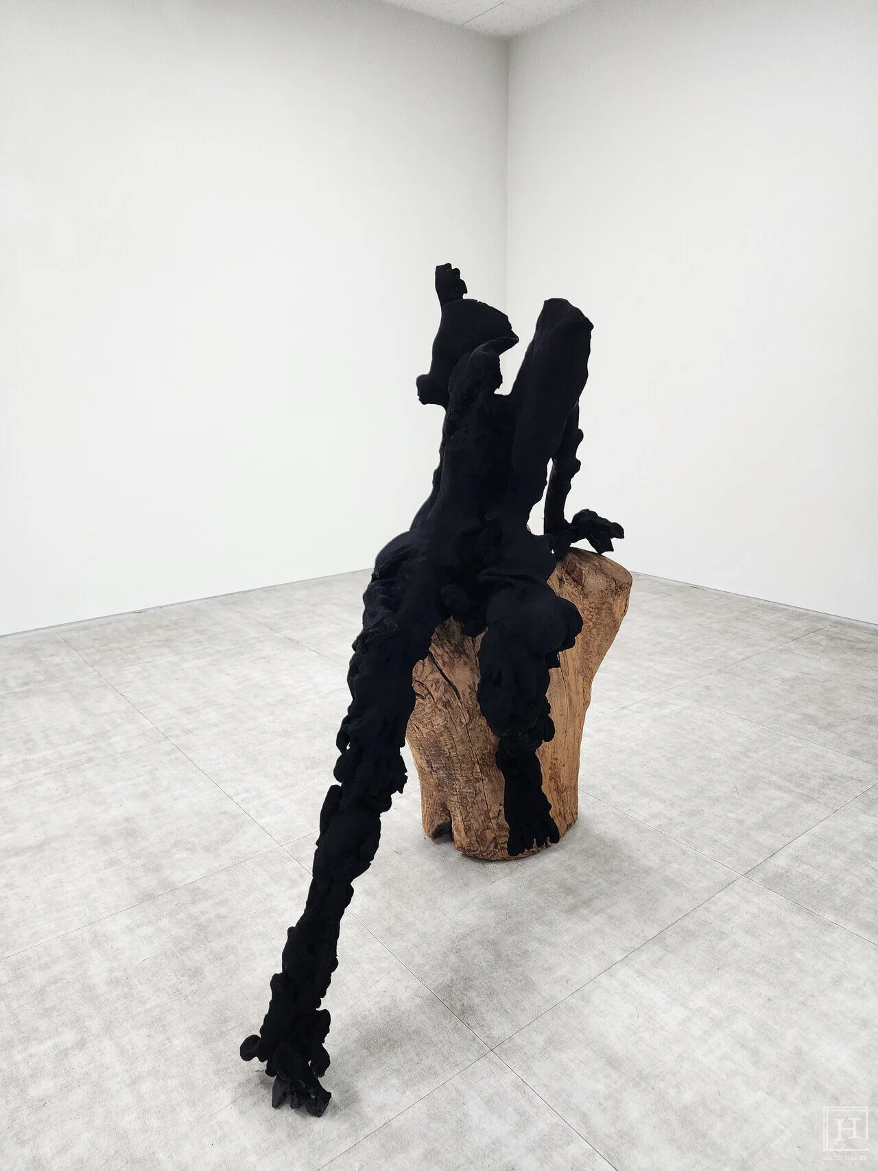 Paideia 藝術家的〈Tippy Toe〉 / Jeon Eun-ji 記者