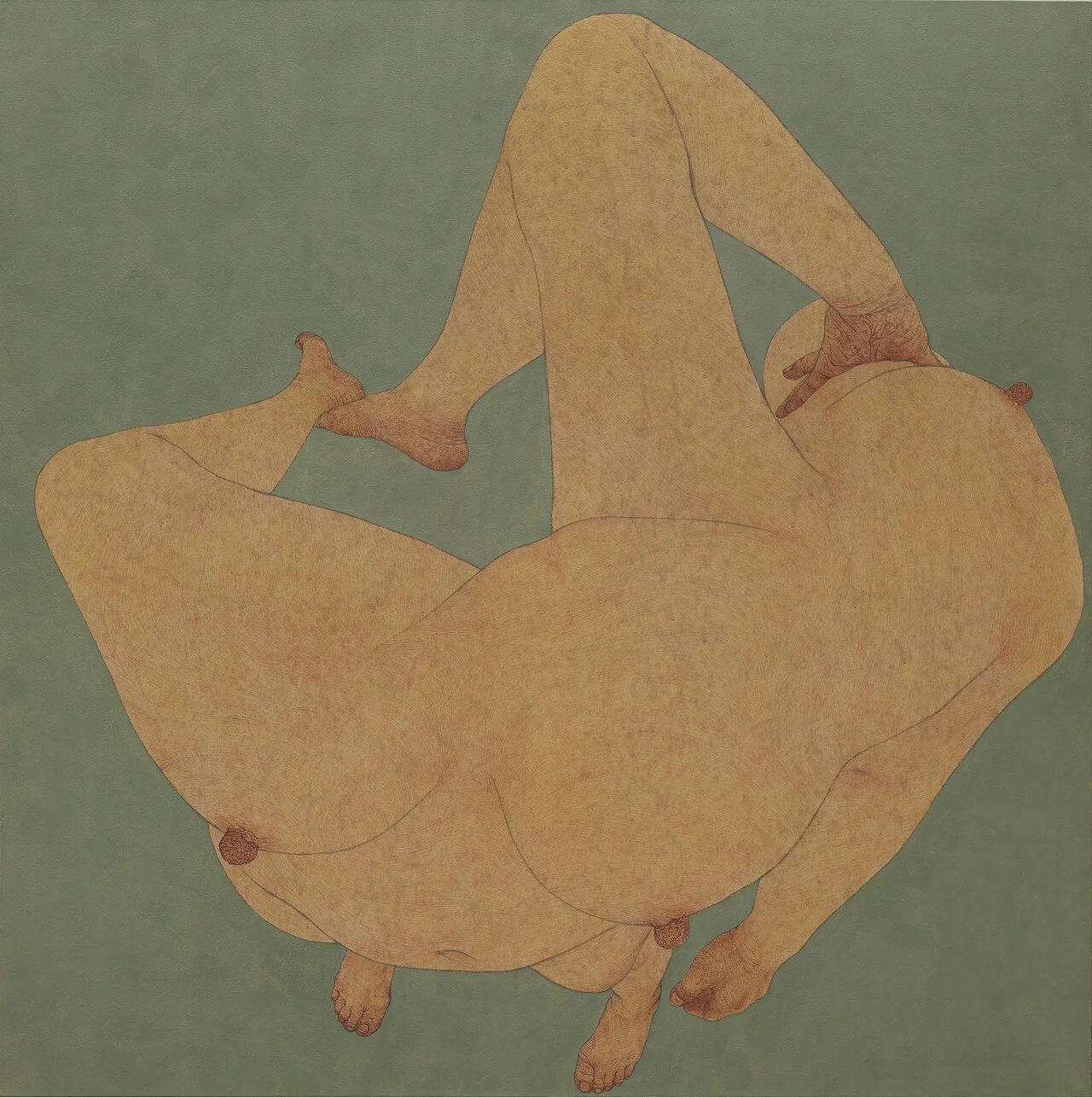 Seung Ah Paik, 〈Self configuration: Verona green earth island 2〉, 2026, 棉质白布，颜料·木炭·兔皮胶…