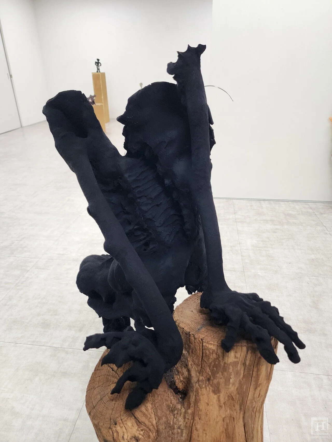 Paideia 藝術家的〈Tippy Toe〉 / Jeon Eun-ji 記者