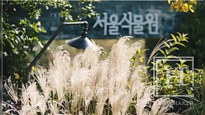 ソウル植物園、秋の庭園特別展…ススキ・絶滅危惧植物が一堂に